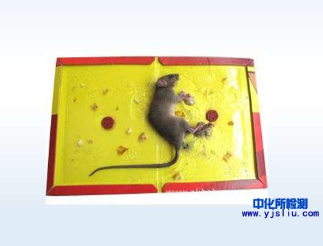 粘鼠板檢測(cè)